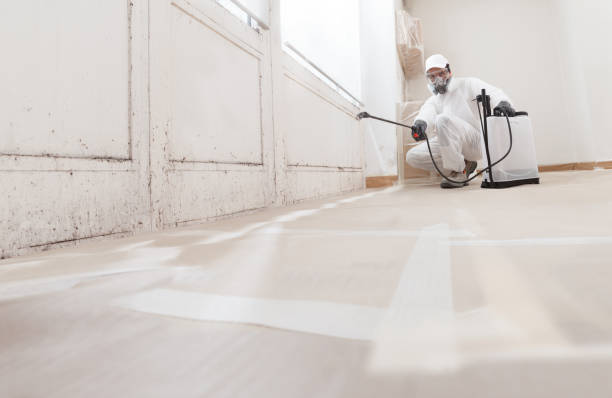 24/7 Emergency Attic Mold Remediation experts in Bellmawr, NJ
